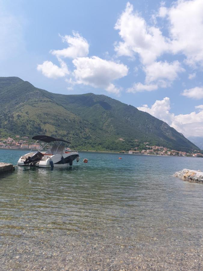 Savic Apartments Kotor Kamer foto