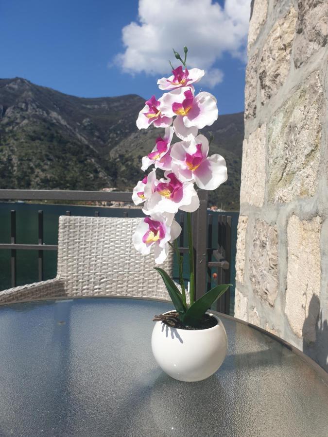 Savic Apartments Kotor Buitenkant foto